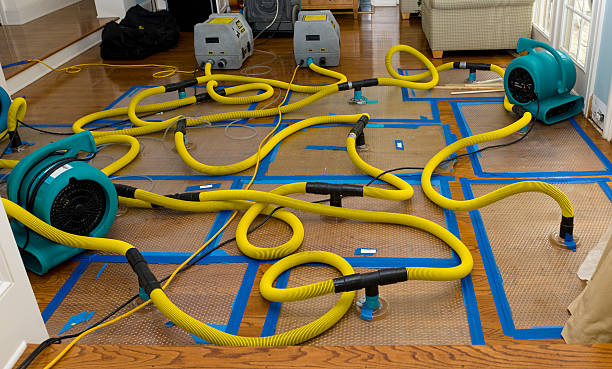 Professional Sewage Cleanup technician working in Bentley, MI